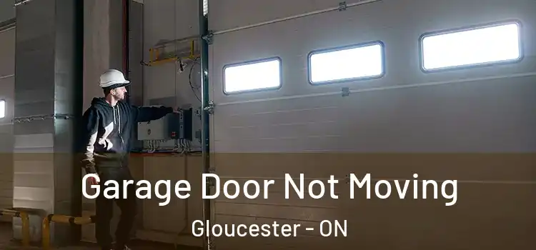  Garage Door Not Moving Gloucester - ON